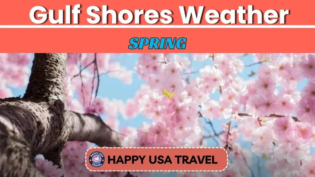Discover The Irresistible Gulf Shores Weather In 2024! » Happy USA Travel