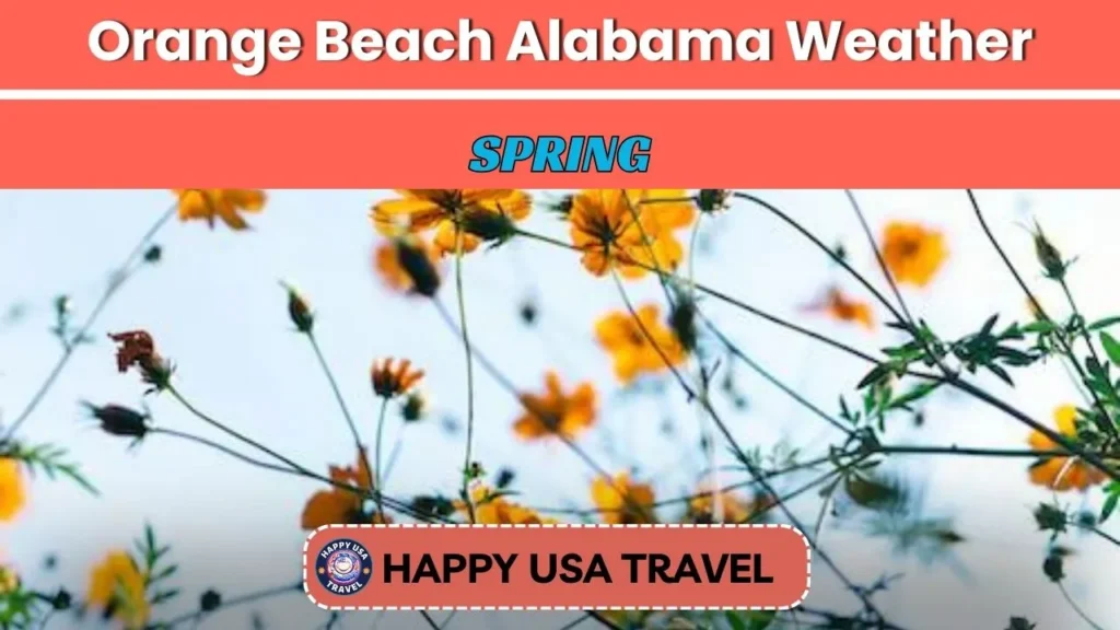Orange Beach Alabama Weather In Spring 1024x576.webp
